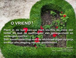 studio1world bahai inspired art - De roos der liefde.